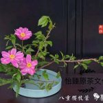 微信图片_20201102153122